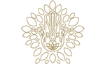 shape